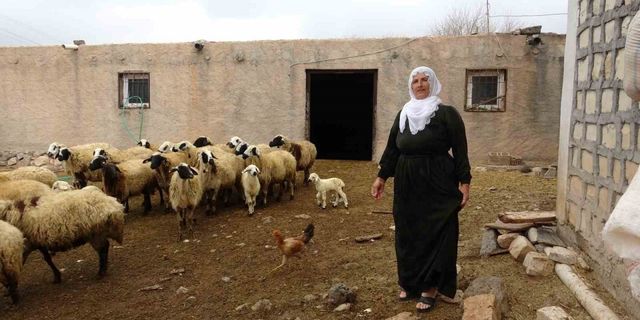 Mardin’in tek kadın muhtarı Nebahat, gelin geldiği köyü iki dönemdir yönetiyor