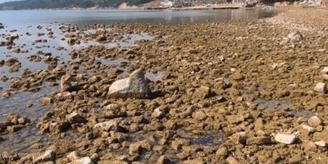 Saros Körfezi’nde deniz suyu çekildi