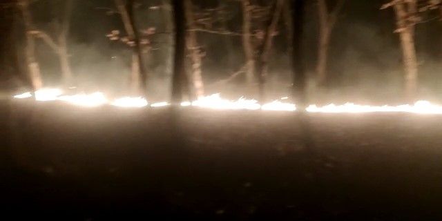 Tekirdağ’da orman yangını