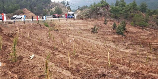 Depremlerde hayatını kaybedenler anısına bin 100 fidan toprakla buluşturuldu