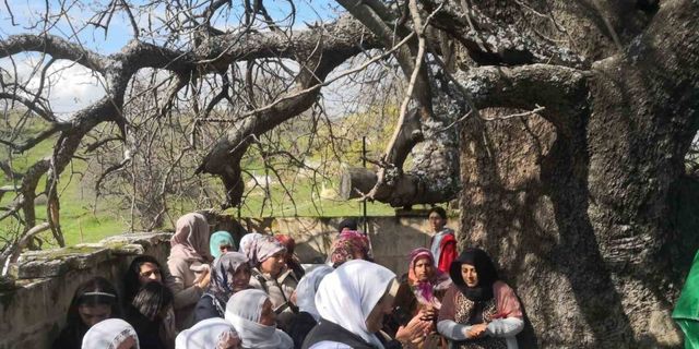 Diyarbakır’da ‘Murat Şenlikleri’ yapıldı