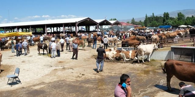 Erzincan canlı hayvan pazarı kapatıldı