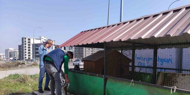 Osmaniye’de sokak hayvanlarına mama desteği