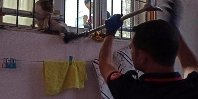 Pencere korkuluklarına sıkışan kediyi itfaiye ekipleri kurtardı