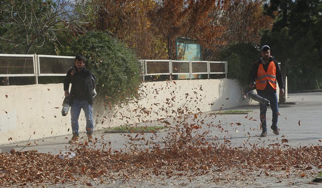 Erzincan Belediyesinden sonbahar temizliği
