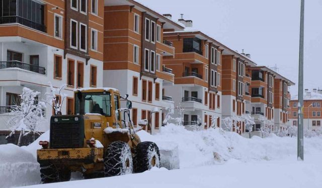 Bitlis’te 213 köy yolu ulaşıma açıldı