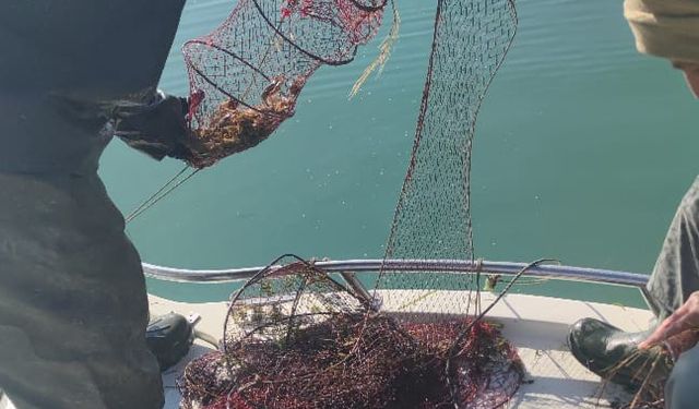 Eğirdir Gölü’nde 170 adet kerevit sepeti tespit edildi