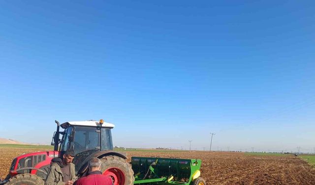 Mardin Ovası’nda buğday ekimi başladı