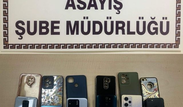 Mardin’de semt pazarlarında yankesicilik yapan şüpheliler tutuklandı