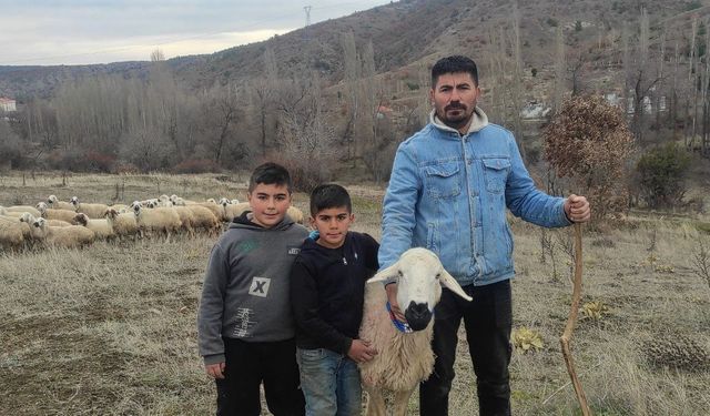 Şehir hayatından uzaklaşıp köyüne döndü, koyun yetiştiricisi oldu