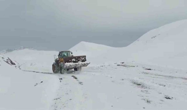 Siirt’te kar nedeniyle kapanan köy yolları ulaşıma açıldı