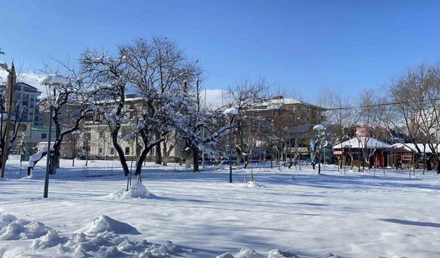 Tatvan’da karla gelen güzellik