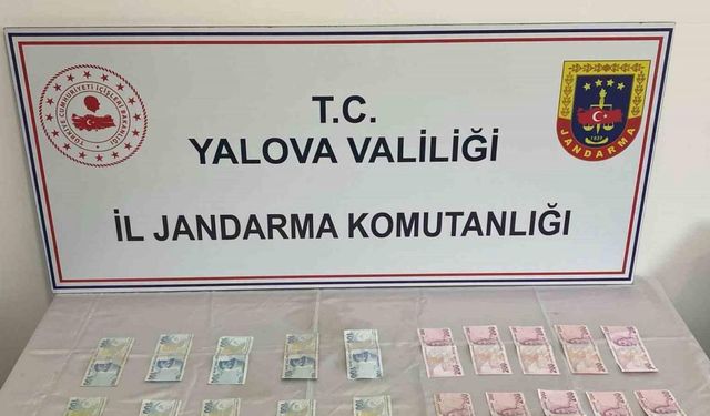 Yalova ve İstanbul’da eş zamanlı sahte para operasyonu: 2 tutuklama