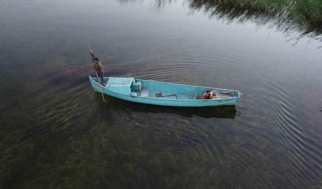 Beyşehir Gölü’nde 3 ay süreyle av yasağı başladı