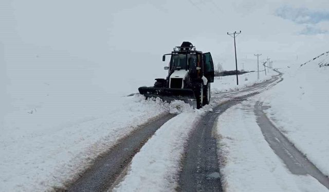 Bitlis’te 45 köy yolu ulaşıma kapandı