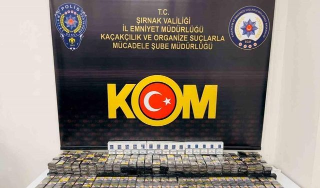 Şırnak’ta asayiş ve kaçakçılık operasyonu: 31 gözaltı