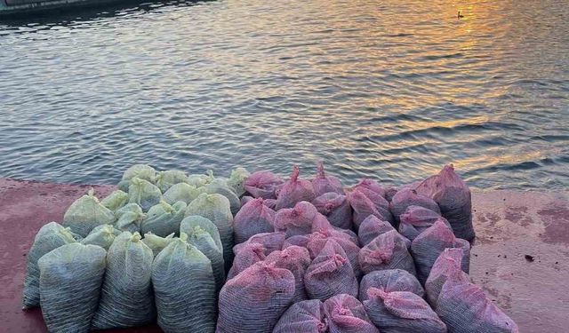Üsküdar’da 1 buçuk ton kaçak midye ele geçirildi