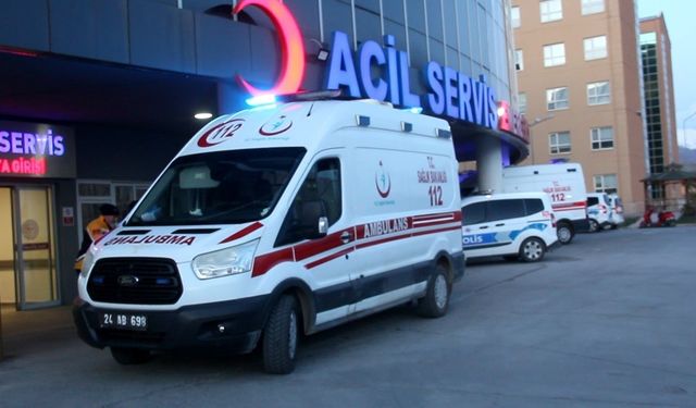Erzincan'da ayının saldırısına uğrayan 1 kişi yaralandı