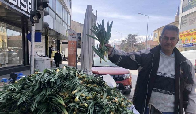 Erzincan'da Çiriş otu tezgahlarda yerini aldı