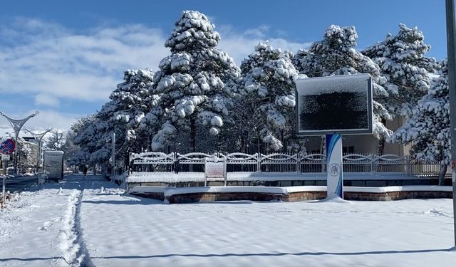 Erzincanlılar nisan ayında güne 20 santime ulaşan karla uyandı