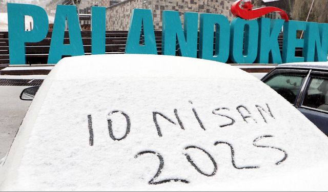 Erzurum'da kar yağışı
