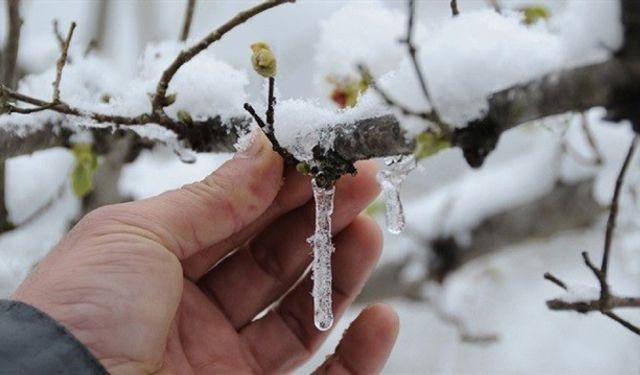 Erzincan çevrelerinde zirai don hadisesi bekleniyor