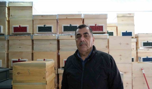 Erzincan’da Arıların Yarısı Hayatını Kaybetti