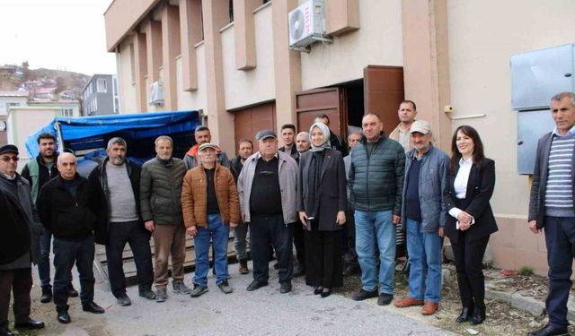 Tercanlı çiftçilere tohumluk tedarik edildi