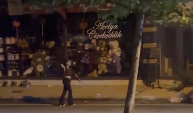 Elazığ’da kadın, bir iş yerine taşla saldırdı