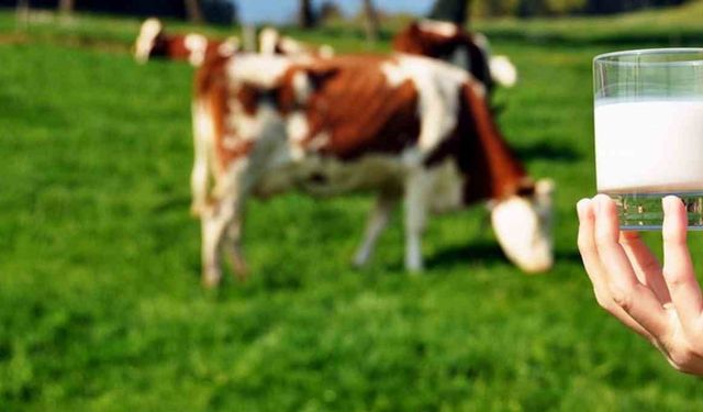 Ticari süt işletmelerince 981 bin 10 ton inek sütü toplandı