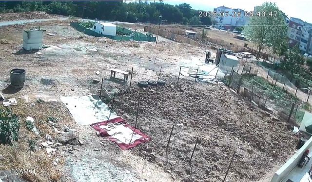 Köpekleri çaldı, işkence etti, birini öldürdü
