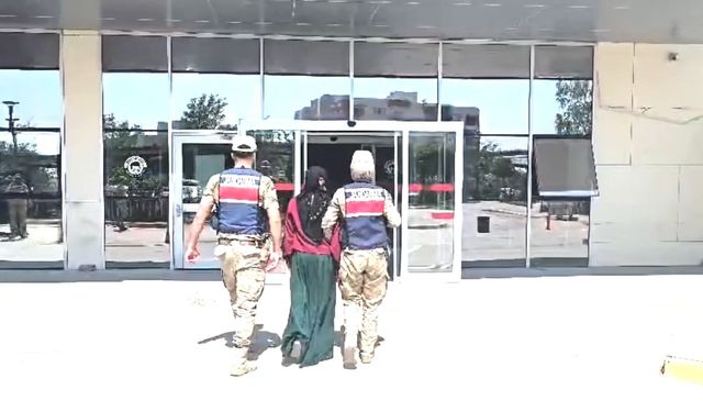 Su bidonunda tabanca, saksılarda kenevir ele geçirildi; 7 gözaltı