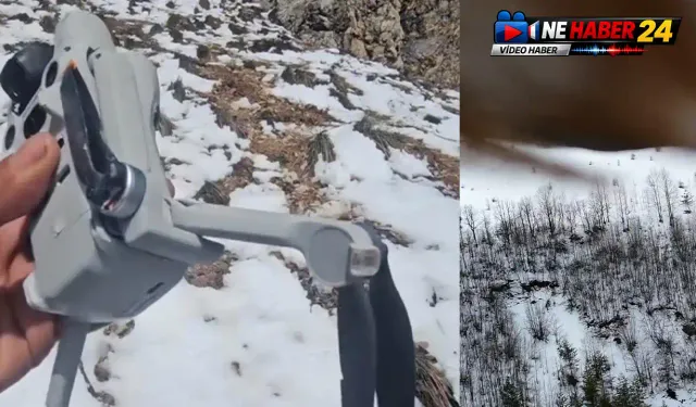Erzincan'da Kartal Dronu Kapıp Havaya Kaçırdı