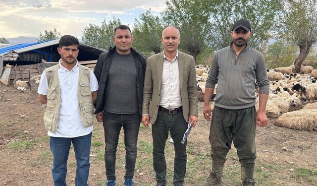 Erzincan’da Çoban Krizine Afganistan’dan Çözüm