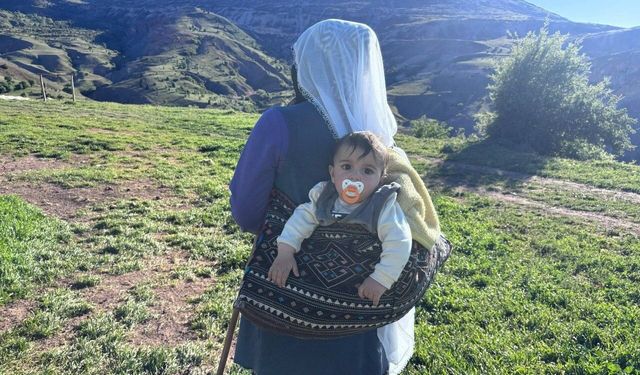 Erzincan'da şavakların yayla mücadelesi: Tulum peynirinin arkasındaki emek