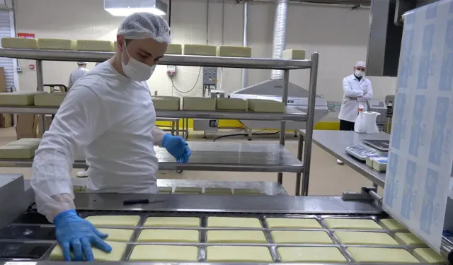 Erzincan'da günlük 45 ton kapasiteli süt fabrikası çiftçiye gelir sağlıyor