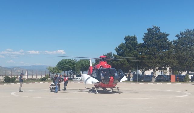 Sivas'ta ayının saldırdığı çoban yaralandı