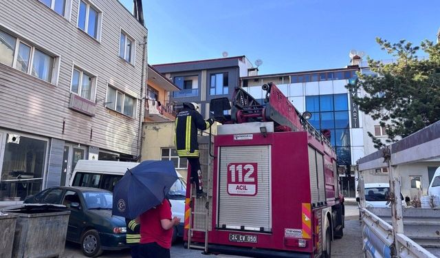 Erzincan’da Yuvadan Düşen Yavru Kargayı İtfaiye Kurtardı