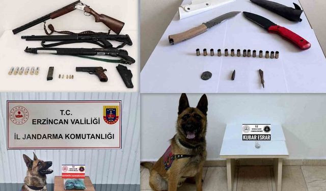 Erzincan'da Haziran ayında 217 olayın yüzde 98'i aydınlatıldı