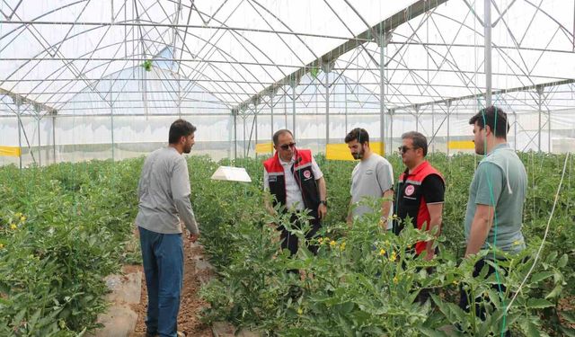 Erzincan'da seracılık faaliyetleri yerinde incelendi
