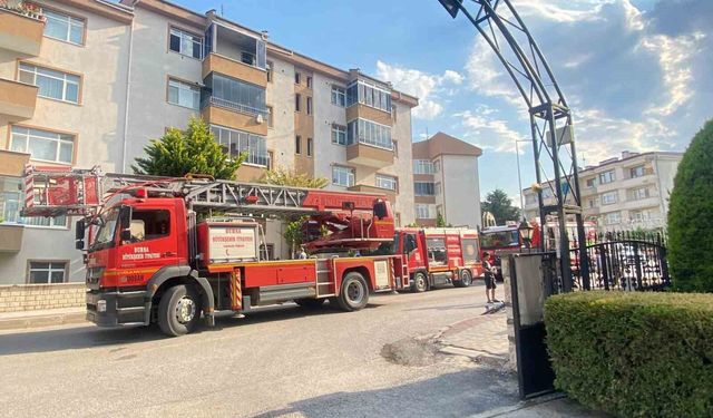 Yangında duygulandıran kurtarma: Anne kedi ve 2 yavrusu hayata döndürüldü