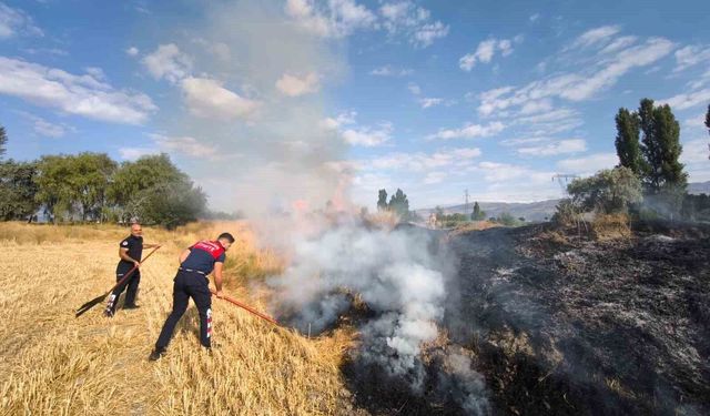 Erzincan'da arazi yangını büyümeden söndürüldü