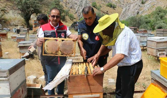 Erzincan'da bal hasadı başladı: Bin 500 ton rekolte bekleniyor