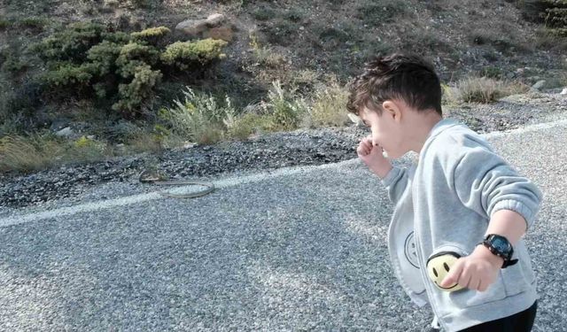 Erzincan'da minik çocuk ilk kez yılanla karşılaştı: Şaşkınlıkla baktı, cesaretle izledi