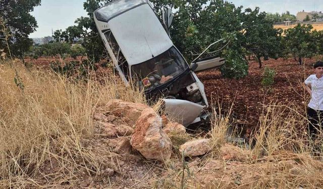Kaza yapan otomobil fıstık ağacında asılı kaldı: 2 yaralı