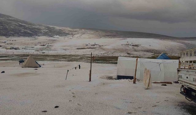 Erzincan yaylalarında dolu yağışı kar gibi araziyi beyaza bürüdü