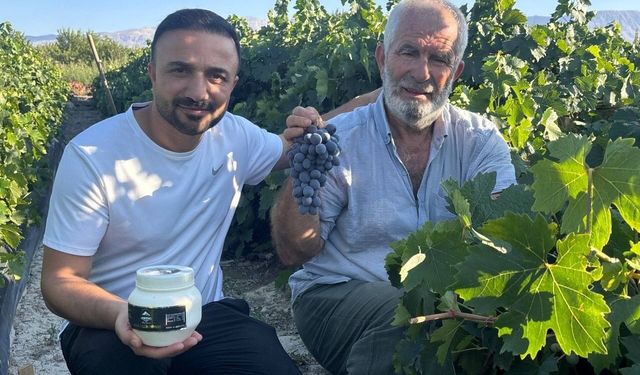 Erzincan'da 200 yıllık bağlarda Cimin Üzümü hasadı başladı