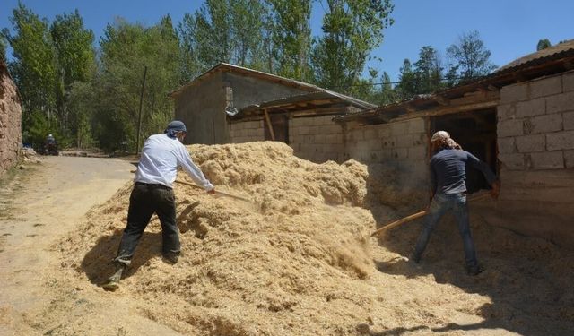 Erzincan'da çiftçinin kış hazırlığı sürüyor
