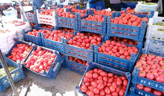 Erzincan’da Salçalık Domates 100 Lirayı Gördü