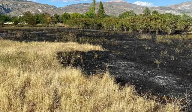 Erzincan'da anız yangını büyümeden söndürüldü